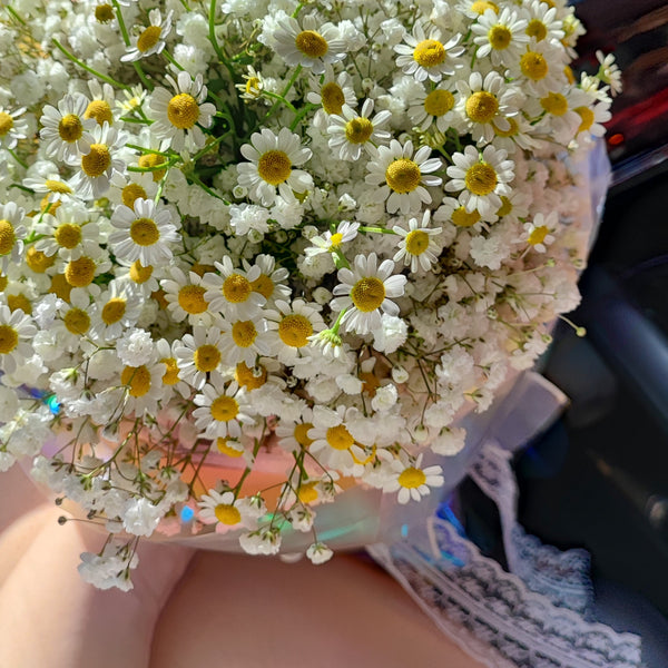 chamomile baby breath bouquet