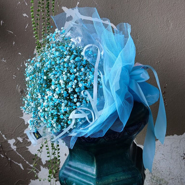 Baby's Breath Blooms(Blue/Pink)