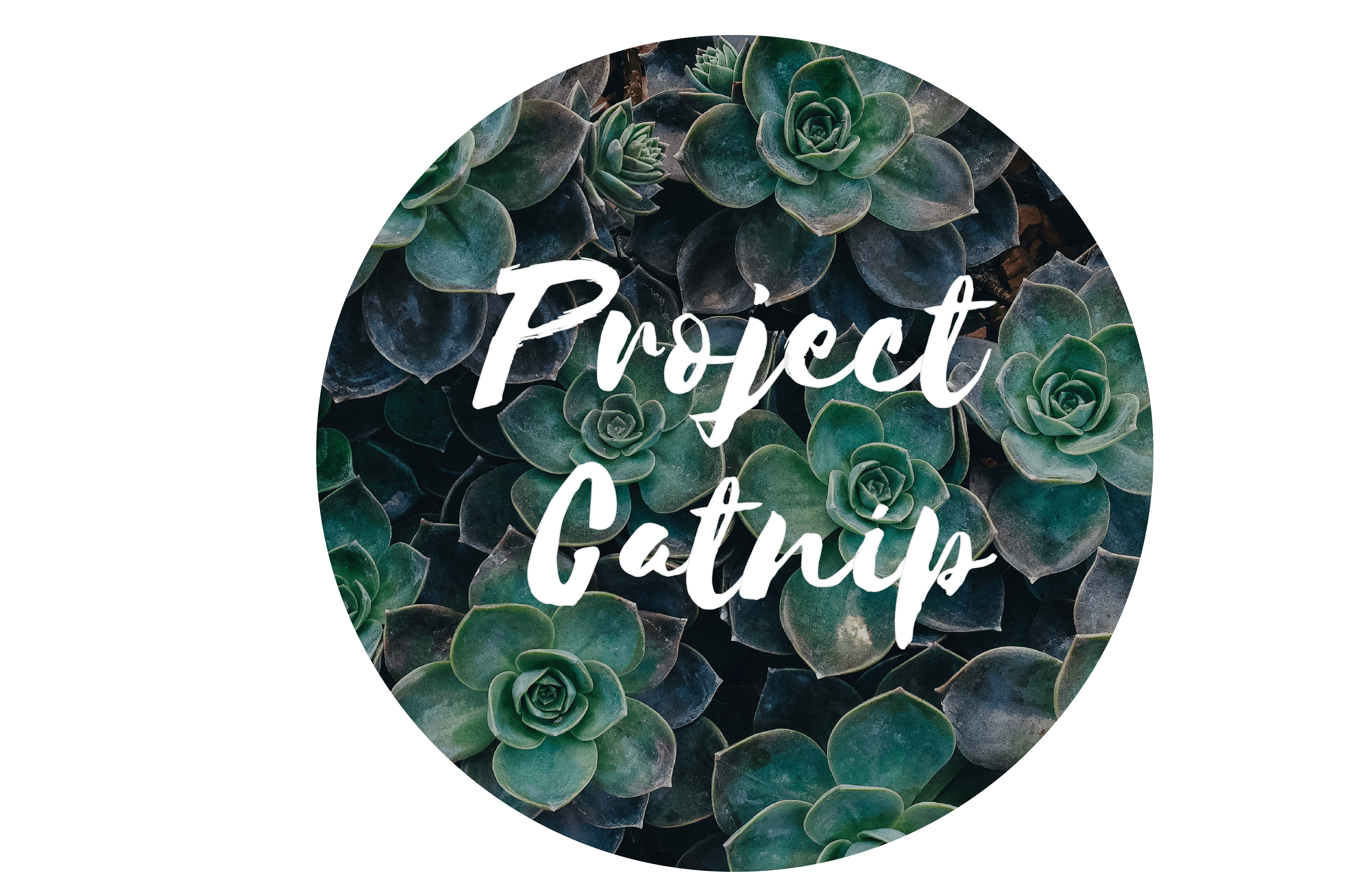Project Catnip Florist Malaysia
