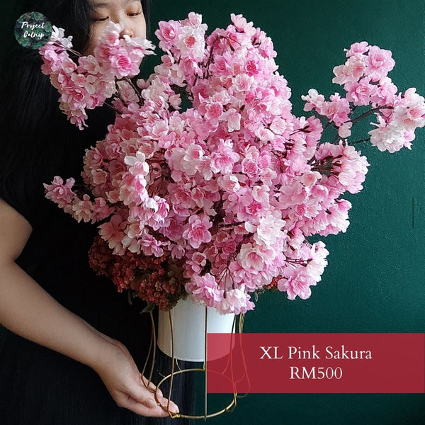 Premium Pink Sakura