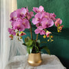 Orchids Purple (Fresh/ Artificial)